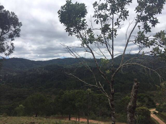 #28 - Terreno em condomínio para Venda em São Paulo - SP - 3